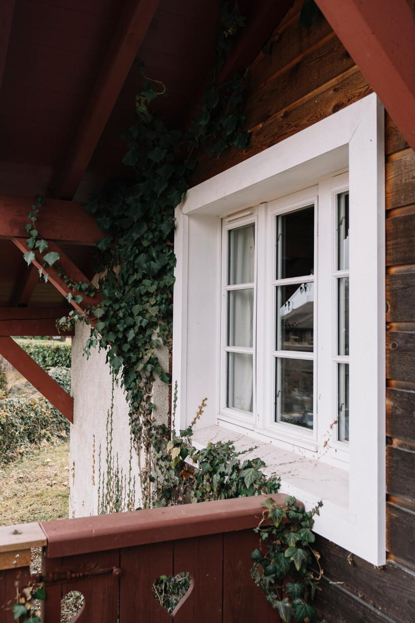 La Verniaz Et Ses Chalets เอวิยงเลบานส์ ภายนอก รูปภาพ
